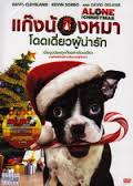 Alone for Christmas แก๊งน้องหมาโดดเดี่ยวผู้น่ารัก