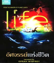 Life อัศจรรย์แห่งชีวิต
