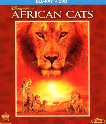 African Cats