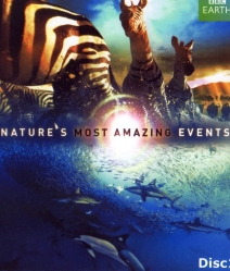Nature's Most Amazing Events