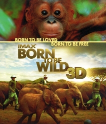 IMAX Born to be wild 3D มหัศจรรย์ชีวิตป่า