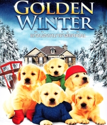 Golden winter แก๊งน้องหมาซ่าส์ยกก๊วน