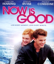 Now is Good (2012) ขอบคุณวันนี้ที่เรายังมีเรา