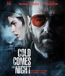 Cold Comes The Night คืนพลิกนรก