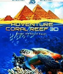 Coral Reef Adventure 3D