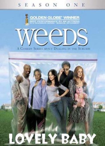 Weeds Season 1 : หม่ายชุลมุน ปี 1