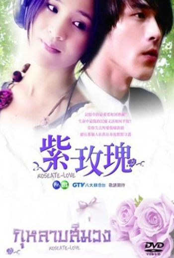 Roseate Love กุหลาบสีม่วง
