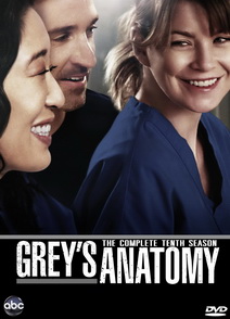 Grey's Anatomy Season 10 แพทย์มือใหม่หัวใจเกินร้อย ปี 10