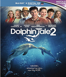 Dolphin Tale 2 มหัศจรรย์โลมาหัวใจนักสู้ 2