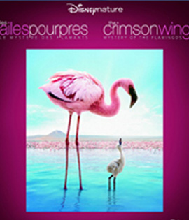 The Crimson Wing: Mystery of the Flamingos (2008)