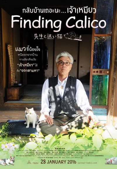 FINDING CALICO กลับบ้านเถอะนะ เจ้าเหมียว
