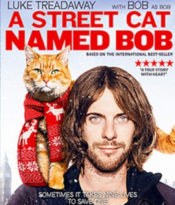 A Street Cat Named Bob (2016) บ๊อบ แมว เพื่อน คน
