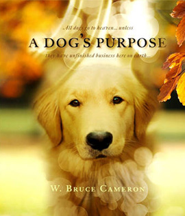 A Dog's Purpose (2017) หมา เป้าหมาย และเด็กชายของผม