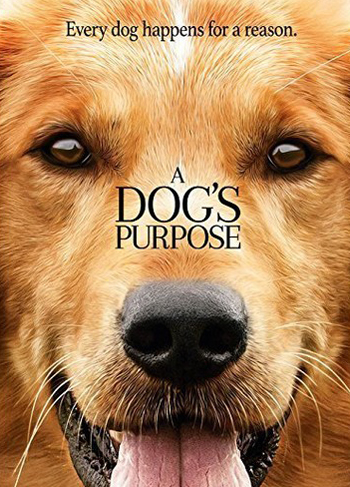 A Dog's Purpose หมา เป้าหมาย และเด็กชายของผม