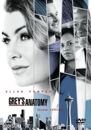 Grey's anatomy Season 14 แพทย์มือใหม่หัวใจเกินร้อย ปี 14 ( 24 ตอนจบ )