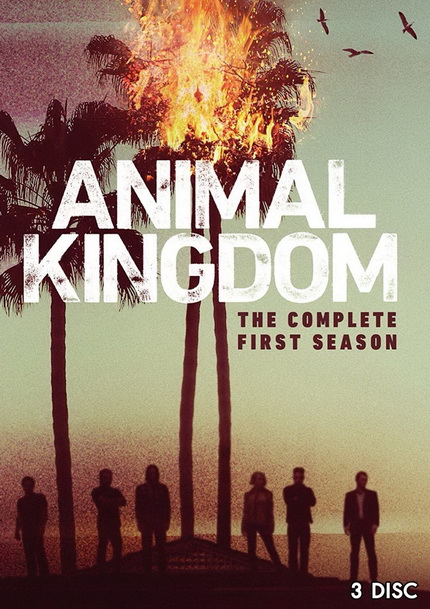 ANIMAL KINGDOM ตระกูลชั่ว ครอบครัวโจร Season 1 (10 ตอนจบ)