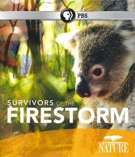 Nature: Survivors of the Firestorm