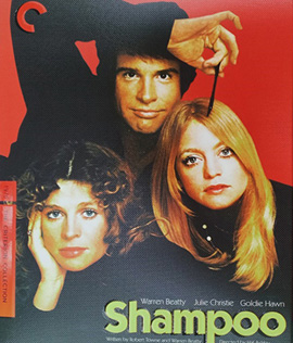 Shampoo (1975)