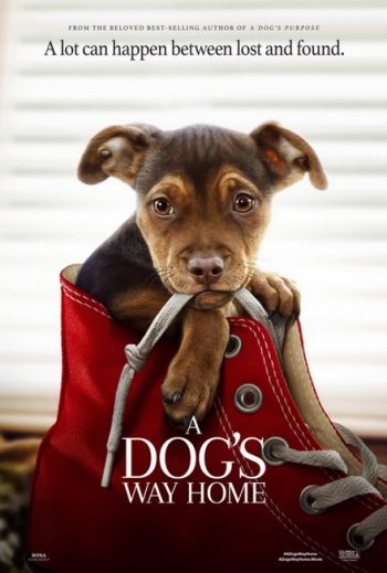 A Dog's Way Home (2019) เพื่อนรักผจญภัยสี่ร้อยไมล์