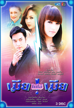 เมียไม่ใช่เมีย