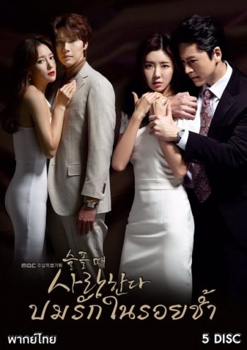 Love in Sadness ปมรักในรอยช้ำ ( EP.1-20 END )