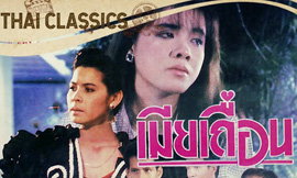 เมียเถื่อน