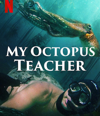 My Octopus Teacher (2020) บทเรียนจากปลาหมึก