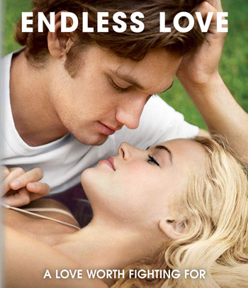 Endless Love (2014) รักนิรันดร์