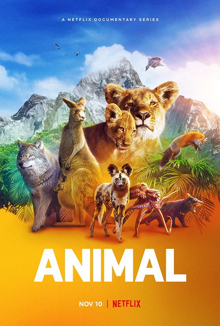 Animal (TV Series 2021) สัตว์มหัศจรรย์ Season 1
