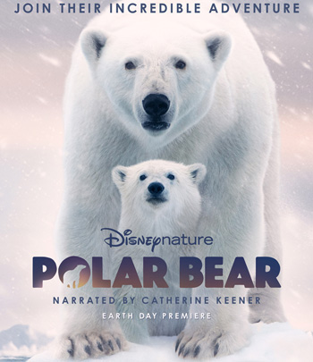 Polar Bear (2022)