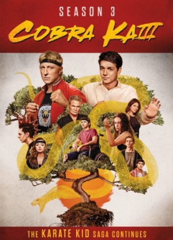 Cobra Kai Season 3 คอบร้า ไค ปี 3 (10 ตอนจบ)