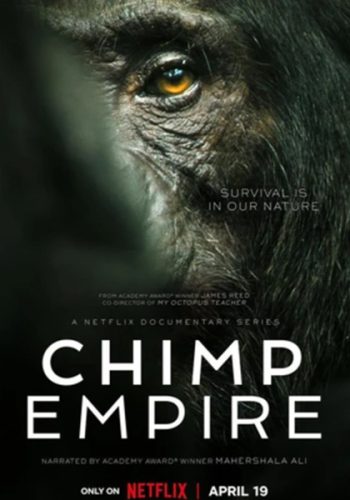 อาณาจักรซิมแปนซี (2023) Chimp Empire