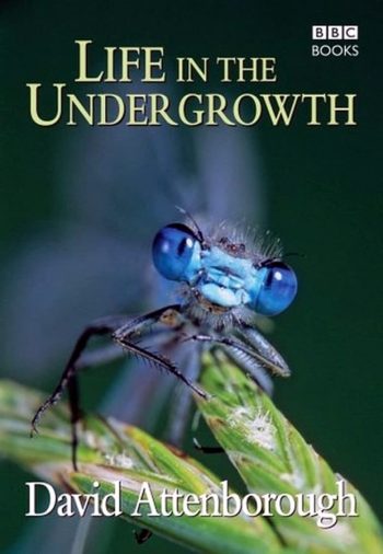 BBC Life In The Undergrowth (2005) โลกมหัศจรรย์ของแมลง
