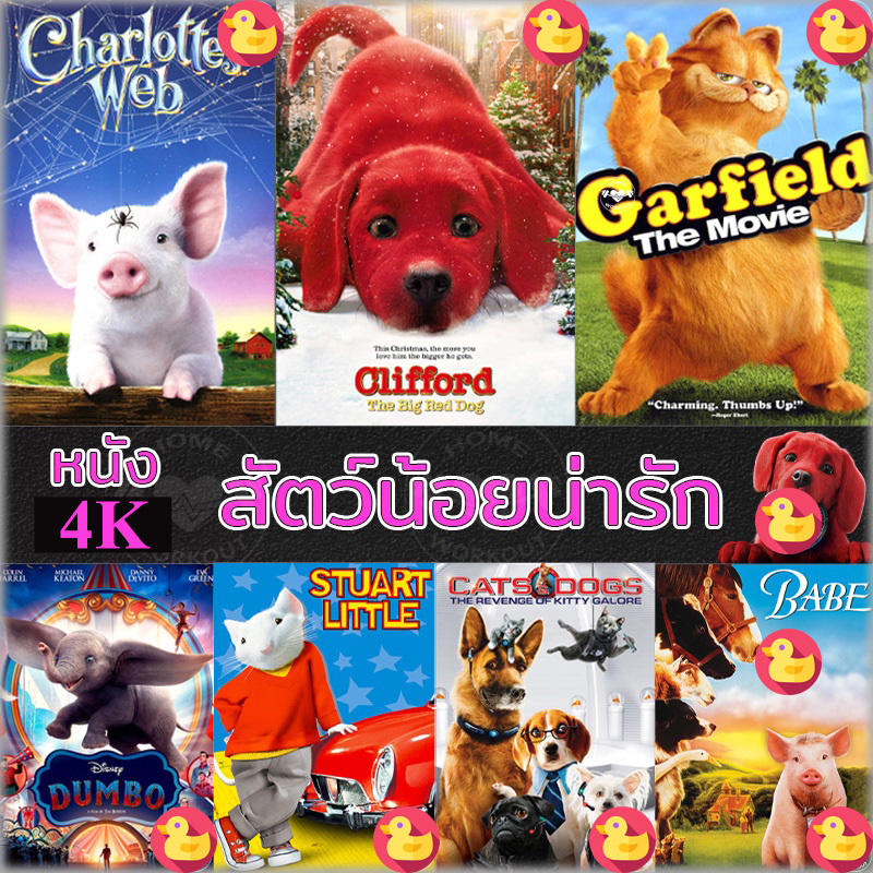 4K หนัง สัตว์น้อยน่ารัก ปีเตอร์แรบบิท หมาแมว เบ๊บ แมงมุมเพื่อนรัก 4K