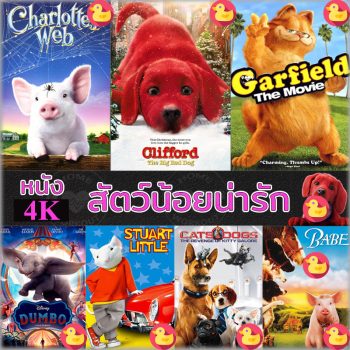 4K หนัง สัตว์น้อยน่ารัก ปีเตอร์แรบบิท หมาแมว เบ๊บ แมงมุมเพื่อนรัก 4K