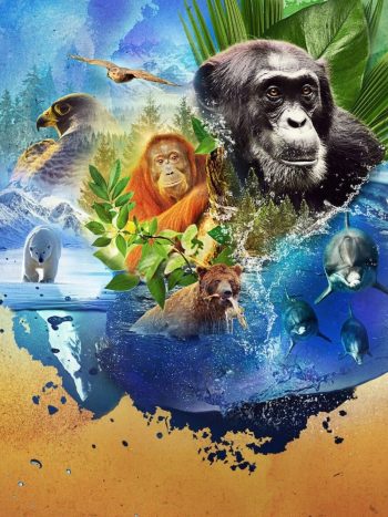 Animal Season 2 (2022) สัตว์มหัศจรรย์ 2 (4 ตอน)