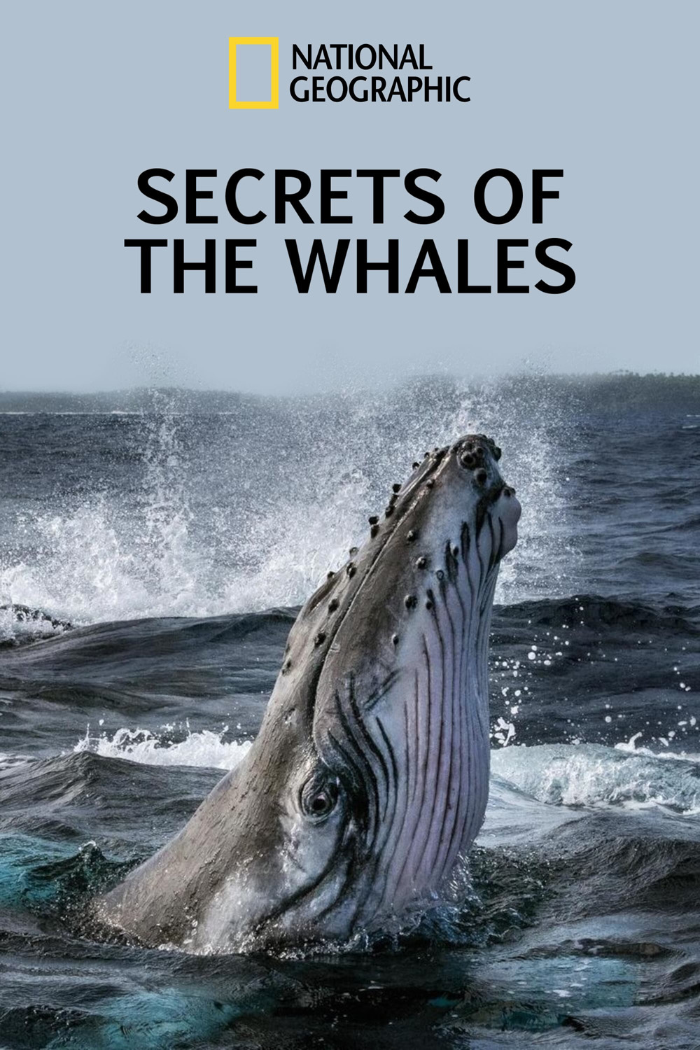 Secrets of the Whales ( 2021) ความลับของเหล่าวาฬ