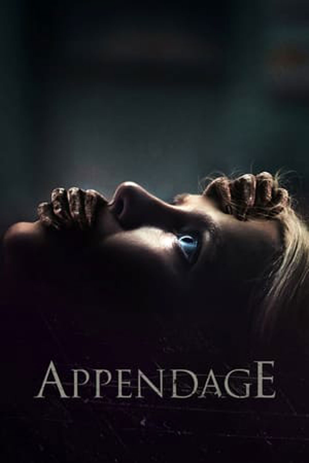 แอพเพ้นเอจน์ (2023) Appendage