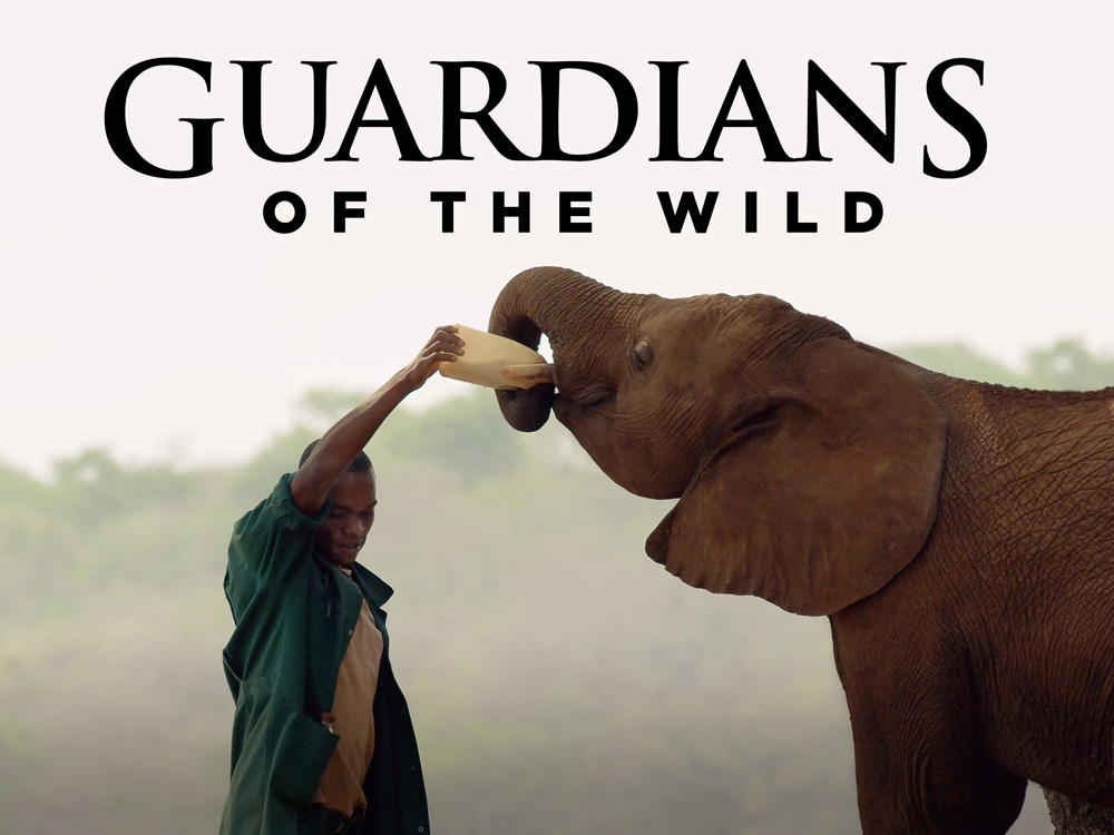 Guardians of the Wild ผู้พิทักษ์แห่งผืนป่า (2018) (4 ตอน)