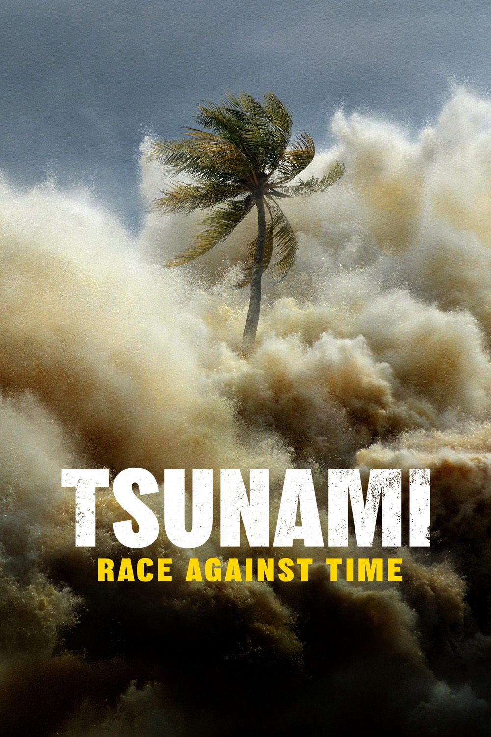 Tsunami Race Against Time (2024)
