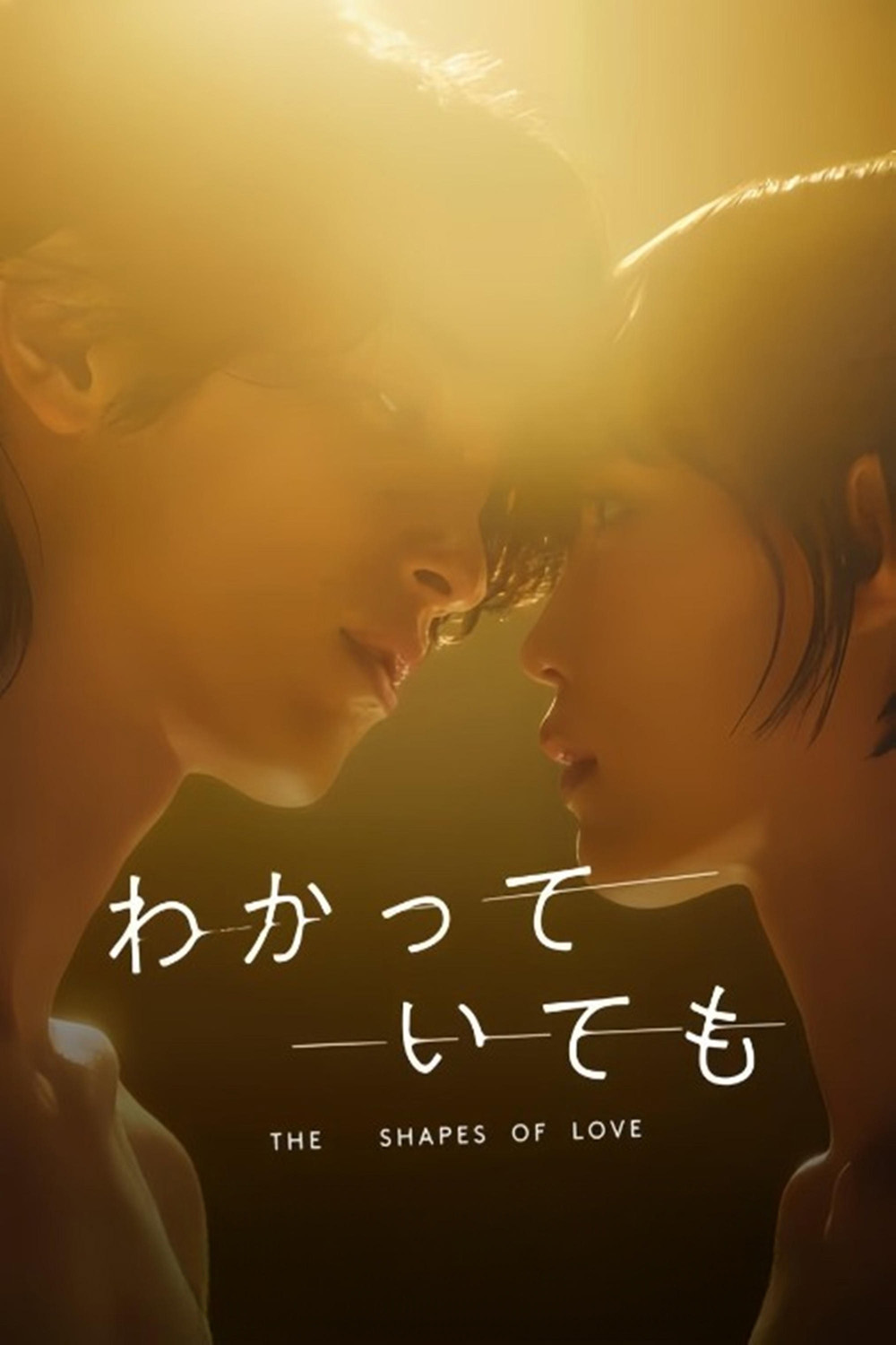 Nevertheless: The Shapes of Love อย่างไรก็ตาม… เส้นสายลายรัก (2024) 8 ตอนจบ