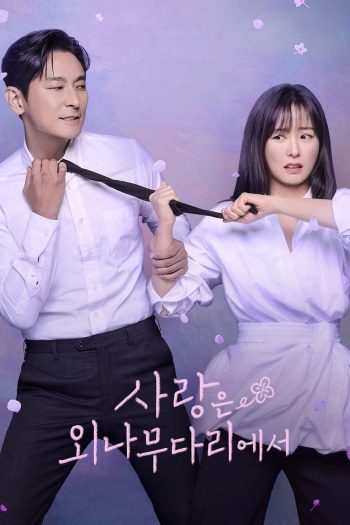 Love Your Enemy อริร้าย กลายรัก (2024) 12 ตอนจบ