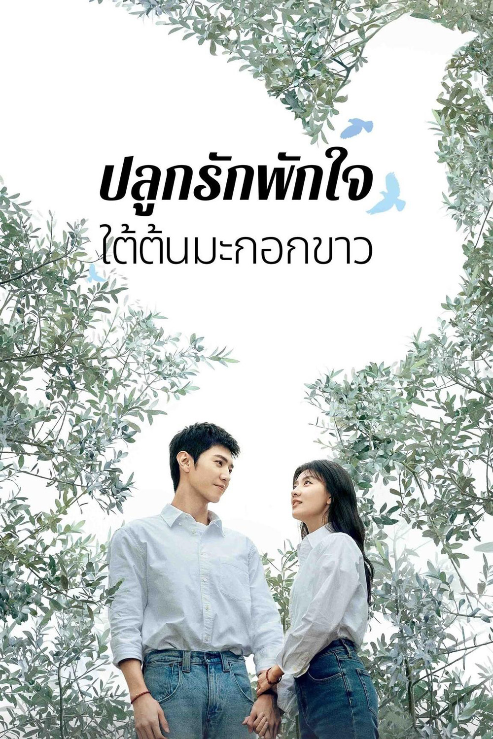 The White Olive Tree ปลูกรักพักใจ ใต้ต้นมะกอกขาว (2025) 38 ตอนจบ