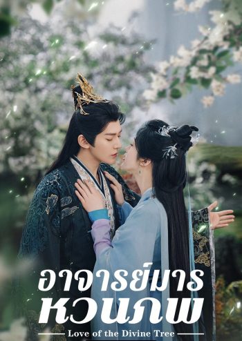 อาจารย์มารหวนภพ Love of the Divine Tree (2025) 40 ตอนจบ
