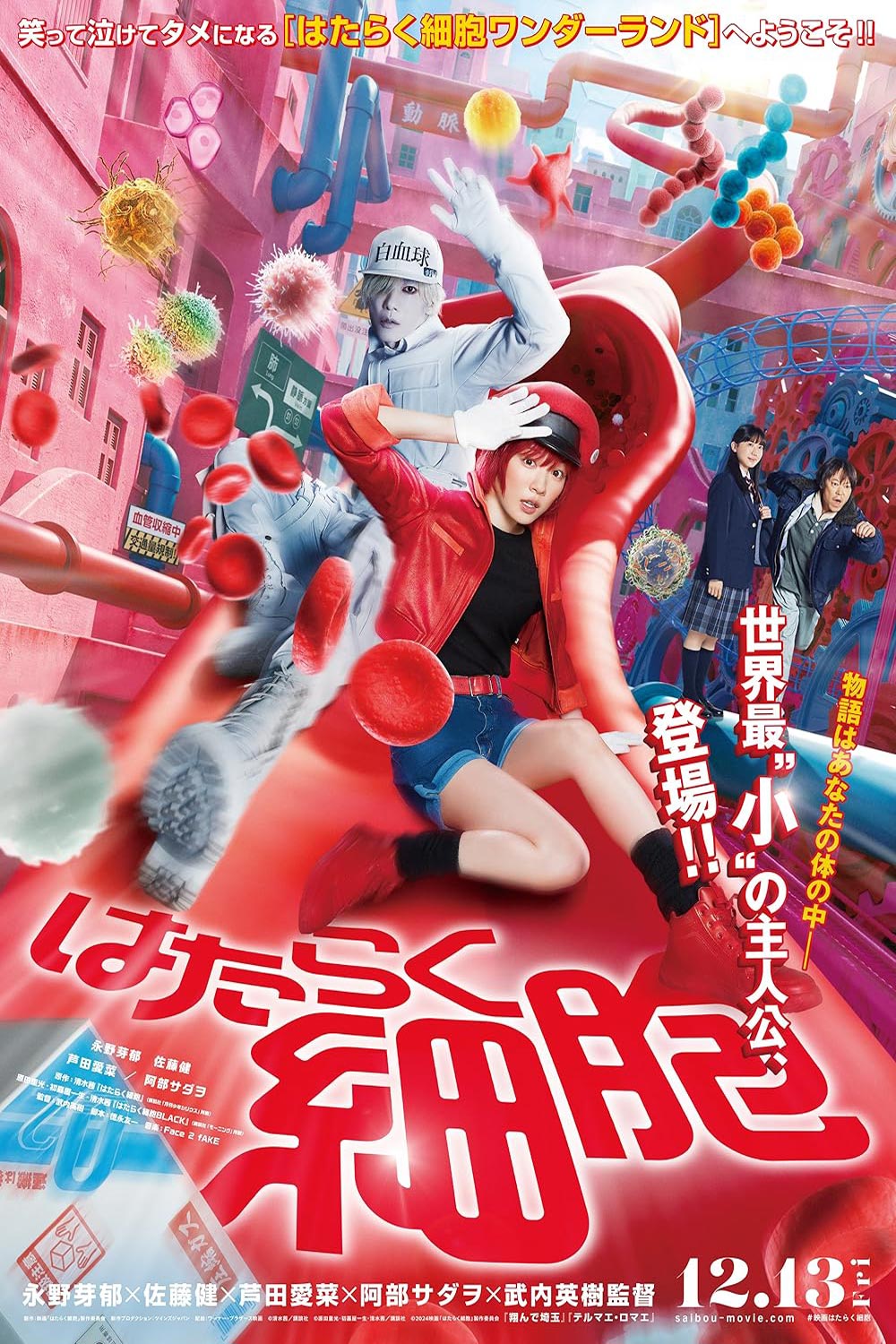 Cells at Work Hataraku Saibou เซลล์ขยันพันธุ์เดือด (2024)