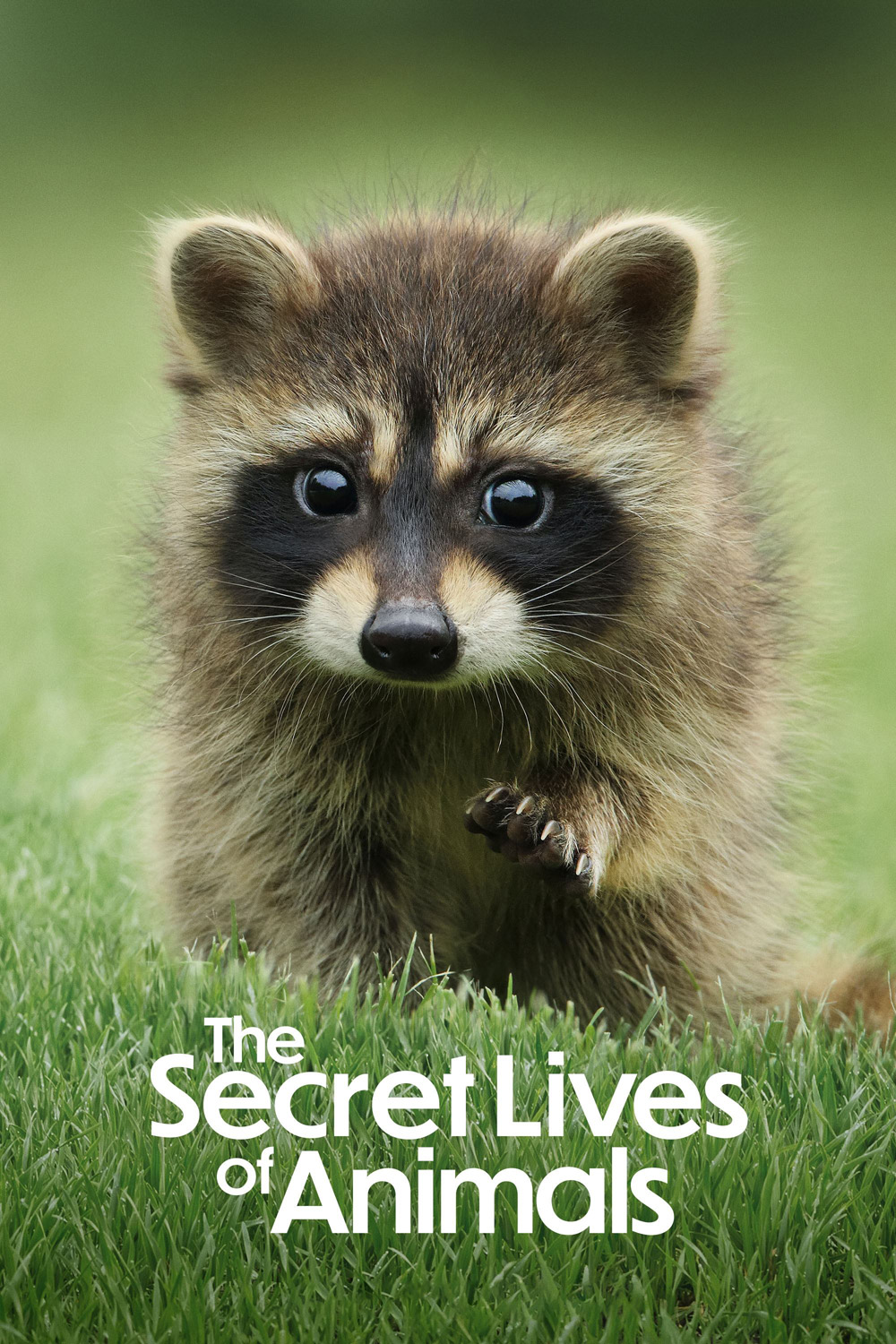 The Secret Lives of Animals (2024) 10 ตอน
