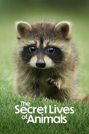 The Secret Lives of Animals (2024) 10 ตอน