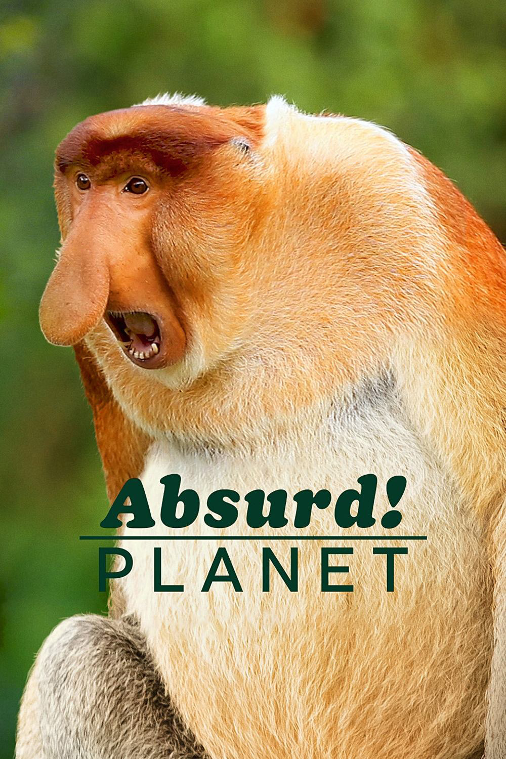 Absurd Planet โลกแปลกประหลาด (2020) 12 ตอน