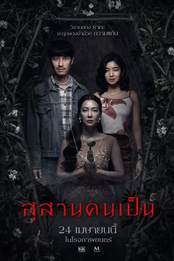 Tomb Watcher (2025) สุสานคนเป็น
