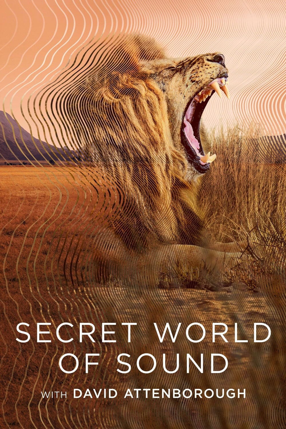 โลกลับแห่งเสียงกับเดวิด แอทเทนเบอเรอห์ Secret World of Sound with David Attenborough (2024) 3 ตอน